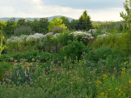 Gemsegarten, © 