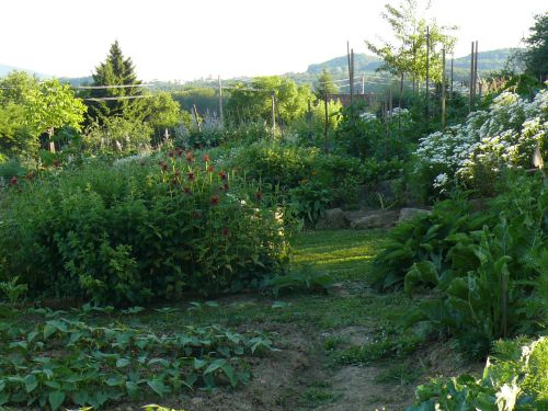 Gem�segarten..., &copy; 
