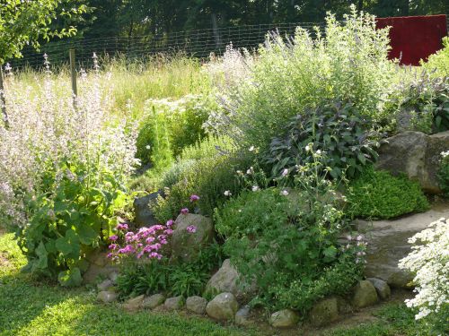 im Kr�utergarten, &copy; 