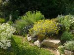 im Kr�utergarten, &copy; 