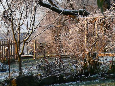 Der Garten im November, &copy; &copy; A. Bregar