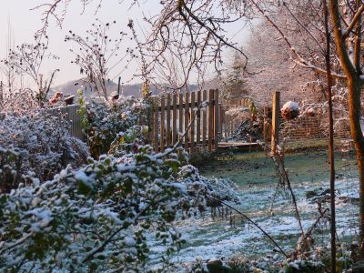 Der Garten im November, &copy; &copy; A. Bregar
