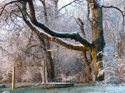 Der Garten im November, &copy; &copy; A. Bregar