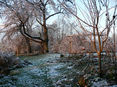 Der Garten im November, &copy; &copy; A. Bregar