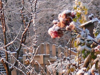 Der Garten im November, &copy; &copy; A. Bregar