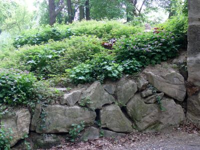 Der Schattengarten vor dem Haus ist nun im 2. Jahr gut schon recht gut angewachsen, © © A. Bregar